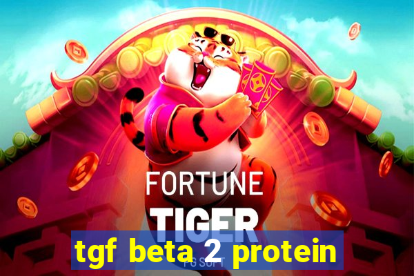 tgf beta 2 protein